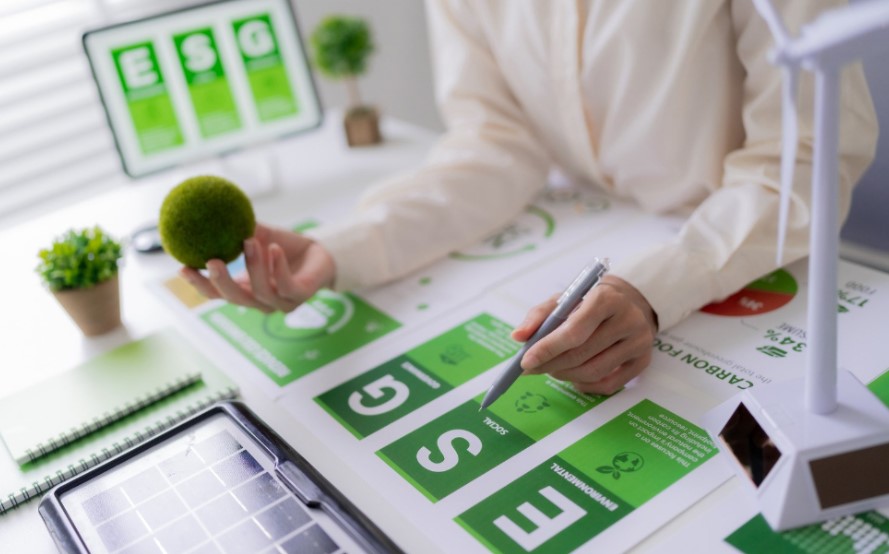 Cultura de Sostenibilidad en tu Empresa